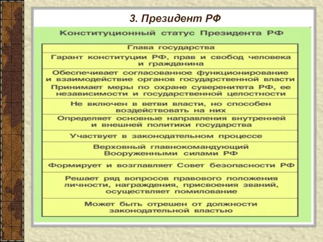 3. Президент РФ