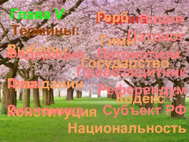 Глава V Родина Термины: Выборы Герб Гимн Государство Гражданин Кодекс Национальность Конституция