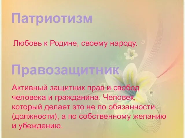 Правозащитник Патриотизм Любовь к Родине, своему народу. Активный защитник прав и свобод