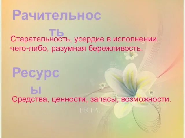 Ресурсы Рачительность Старательность, усердие в исполнении чего-либо, разумная бережливость. Средства, ценности, запасы, возможности.