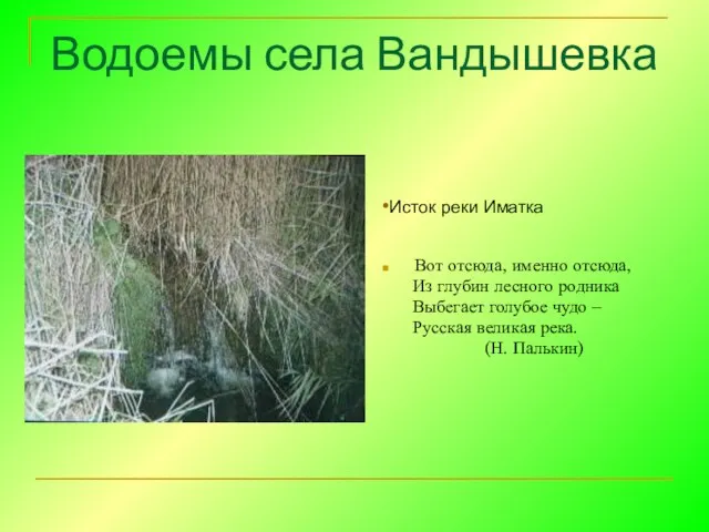 Водоемы села Вандышевка Вот отсюда, именно отсюда, Из глубин лесного родника Выбегает