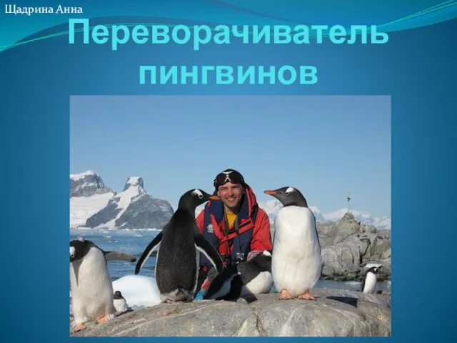 Презентация на тему Переворачиватель пингвинов
