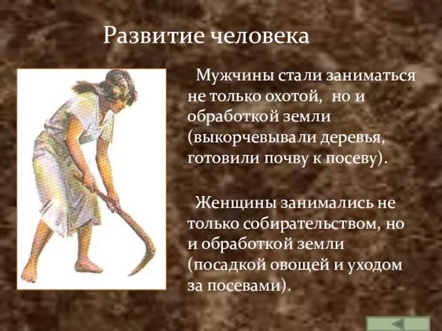 Развитие человека Мужчины стали заниматься не только охотой, но и обработкой земли