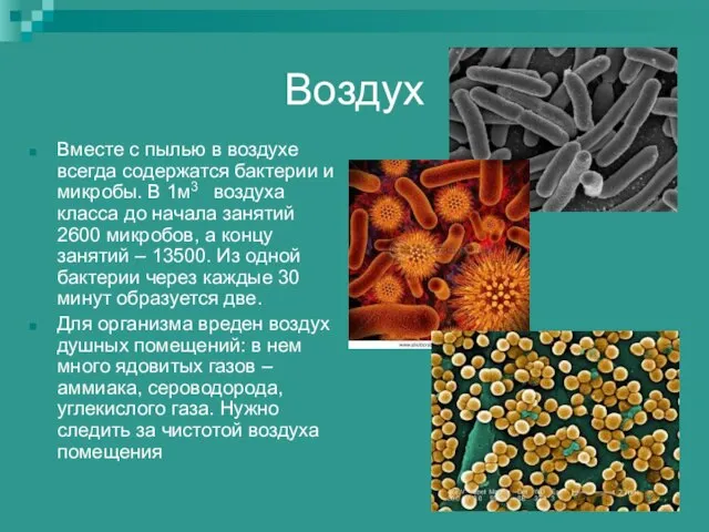 Воздух Вместе с пылью в воздухе всегда содержатся бактерии и микробы. В