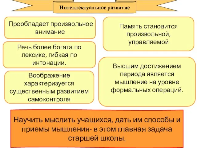 Преобладает произвольное внимание Память становится произвольной, управляемой Речь более богата по лексике,