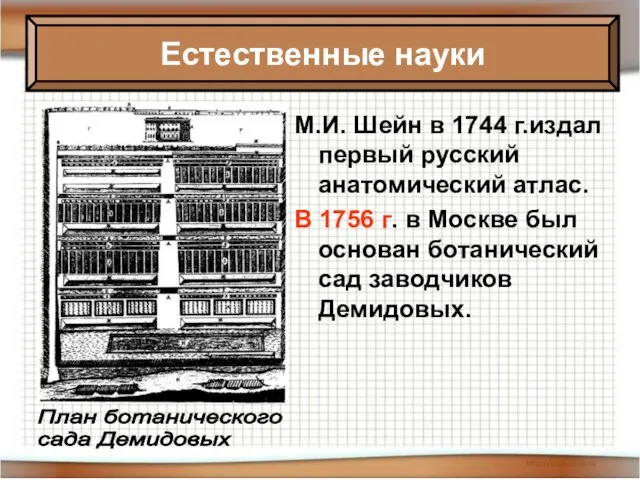 08/02/2023 Антоненкова Анжелика Викторовна МОУ Будинская ООШ М.И. Шейн в 1744 г.издал