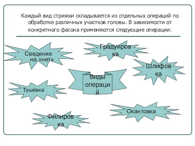 Каждый вид стрижки складывается из отдельных операций по обработке различных участков головы.