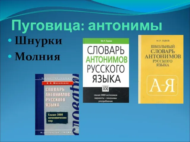 Пуговица: антонимы Шнурки Молния