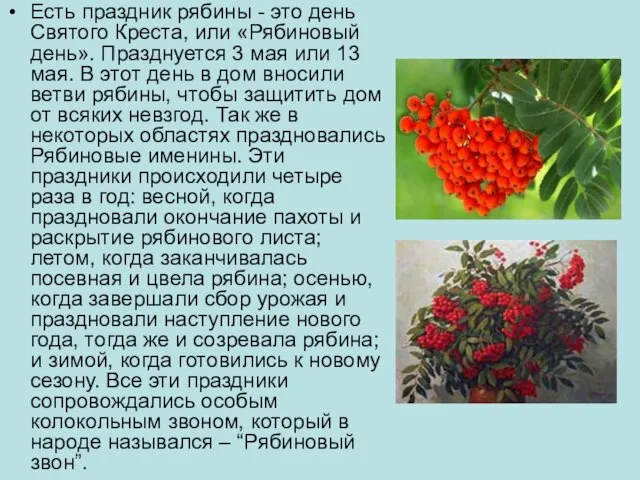 Есть праздник рябины - это день Святого Креста, или «Рябиновый день». Празднуется