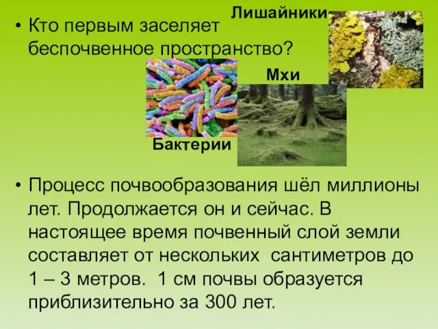 Кто первым заселяет беспочвенное пространство? Процесс почвообразования шёл миллионы лет. Продолжается он