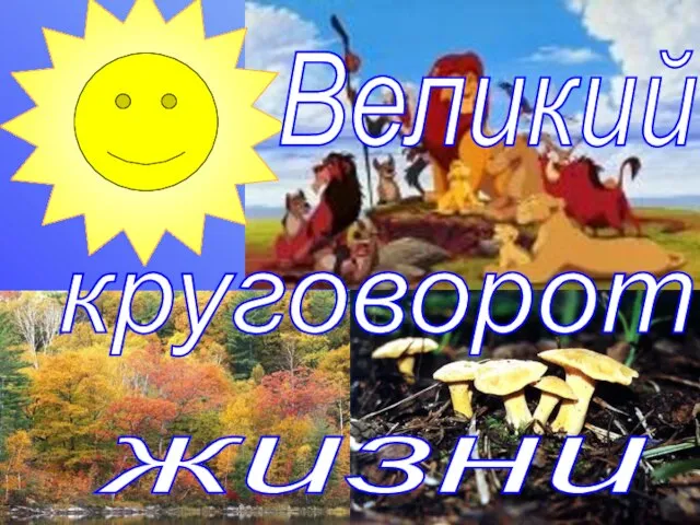 Великий круговорот жизни