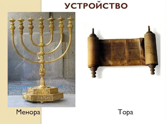 Устройство синагоги Менора Тора