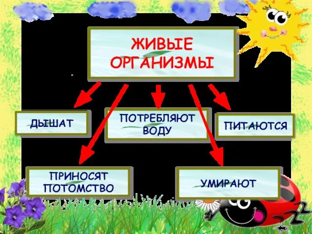 ЖИВЫЕ ОРГАНИЗМЫ ДЫШАТ ПОТРЕБЛЯЮТ ВОДУ ПИТАЮТСЯ ПРИНОСЯТ ПОТОМСТВО УМИРАЮТ