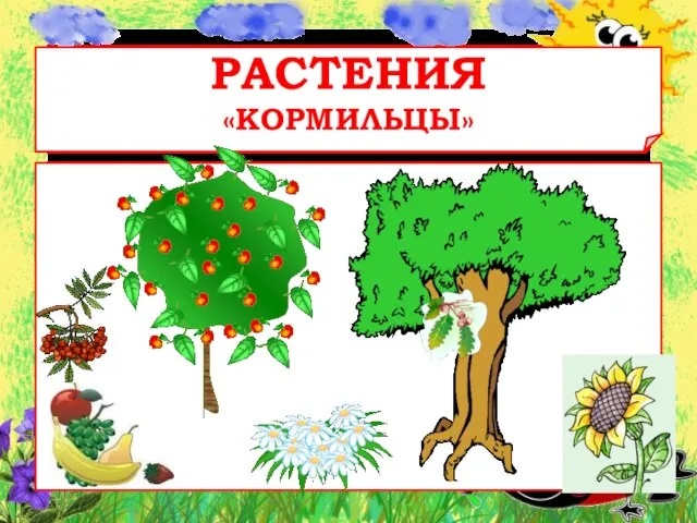 РАСТЕНИЯ «КОРМИЛЬЦЫ»