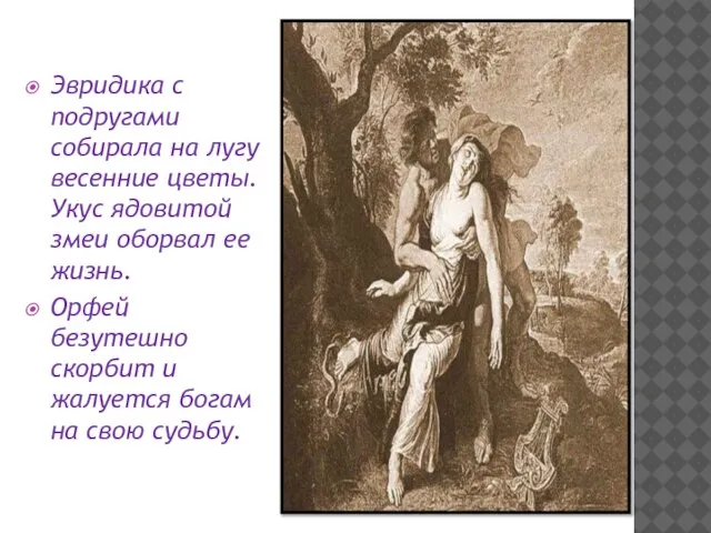 Эвридика с подругами собирала на лугу весенние цветы. Укус ядовитой змеи оборвал