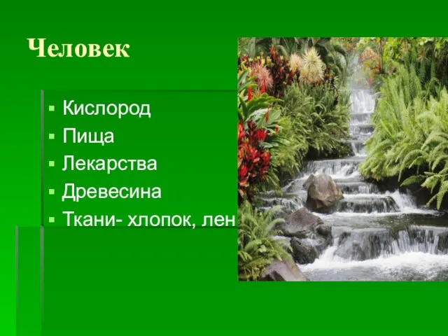 Человек Кислород Пища Лекарства Древесина Ткани- хлопок, лен