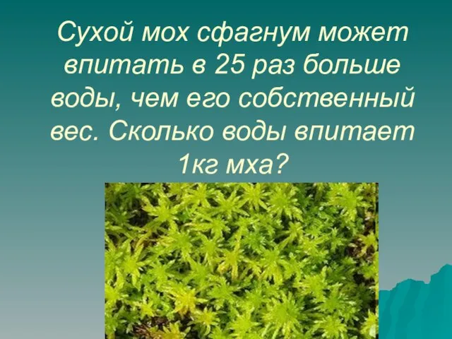 Сухой мох сфагнум может впитать в 25 раз больше воды, чем его