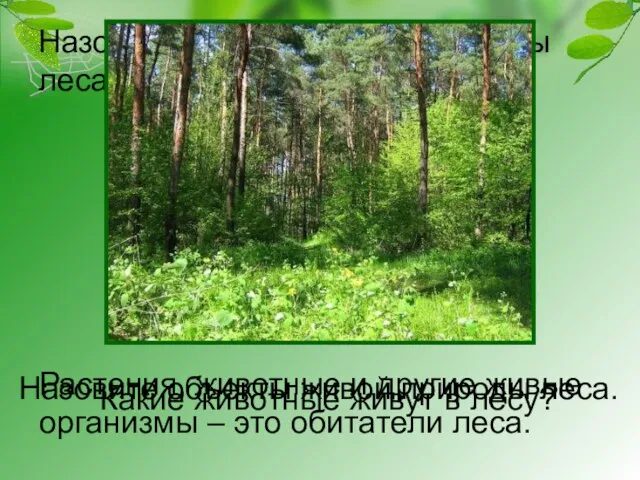 Назовите объекты живой природы леса. Назовите объекты живой природы леса. Растения, животные