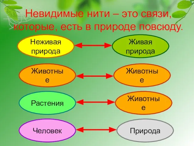 Невидимые нити – это связи, которые, есть в природе повсюду. Неживая природа