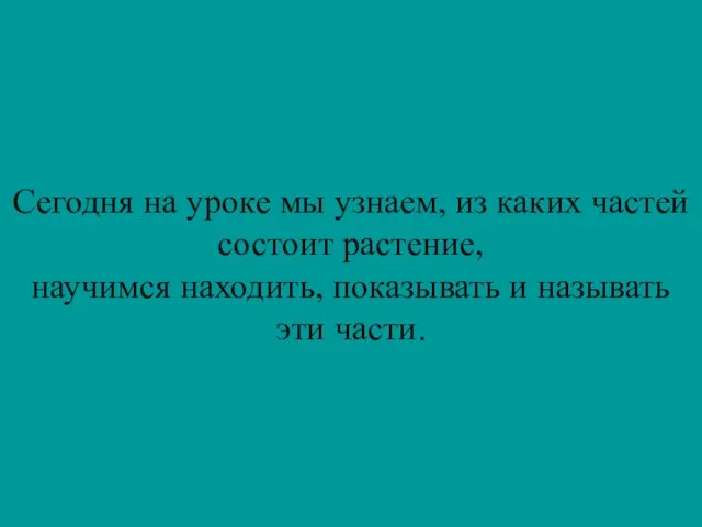 Сегодня на уроке мы узнаем, из каких частей состоит растение, научимся находить,