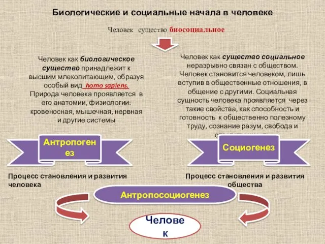 Биологические и социальные начала в человеке Человек существо биосоциальное Человек как биологическое