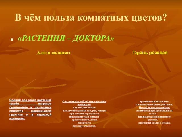 В чём польза комнатных цветов? «РАСТЕНИЯ – ДОКТОРА» Алоэ и каланхоэ Свежий