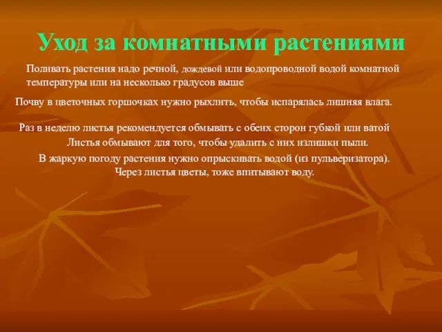 Уход за комнатными растениями В жаркую погоду растения нужно опрыскивать водой (из