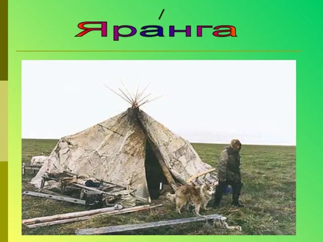 Яранга