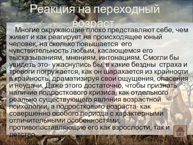 Реакция на переходный возраст. Многие окружающие плохо представляют себе, чем живет и