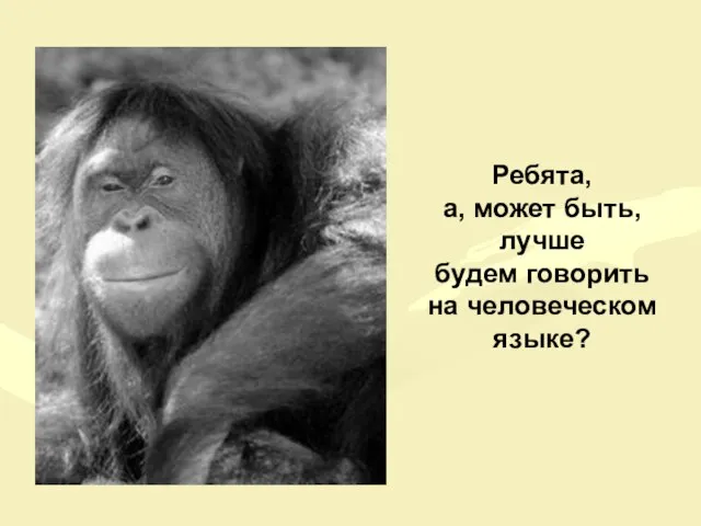 Ребята, а, может быть, лучше будем говорить на человеческом языке?