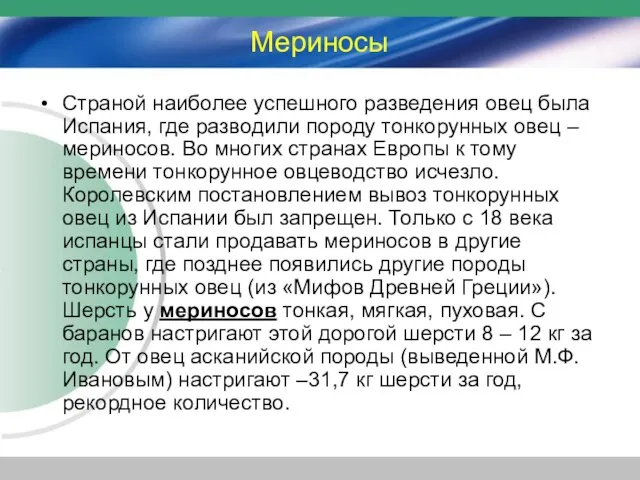 Мериносы Страной наиболее успешного разведения овец была Испания, где разводили породу тонкорунных