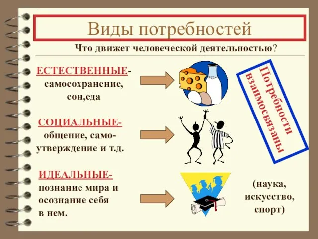 Виды потребностей Что движет человеческой деятельностью? Потребности взаимосвязаны