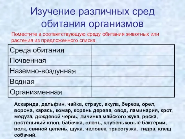 Изучение различных сред обитания организмов Аскарида, дельфин, чайка, страус, акула, береза, орел,