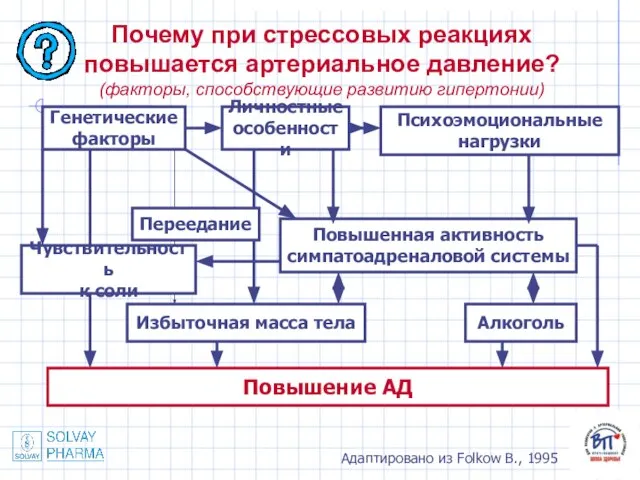 Почему при стрессовых реакциях повышается артериальное давление? (факторы, способствующие развитию гипертонии) Адаптировано из Folkow B., 1995