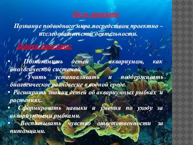 Цель проекта Познание подводного мира посредством проектно – исследовательской деятельности. Задачи проекта:
