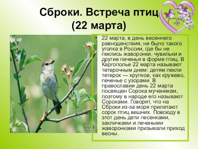 Сброки. Встреча птиц (22 марта) 22 марта, в день весеннего равноденствия, не