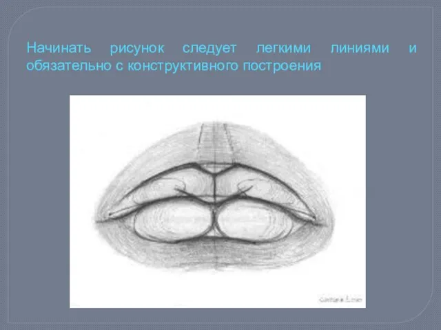 Начинать рисунок следует легкими линиями и обязательно с конструктивного построения