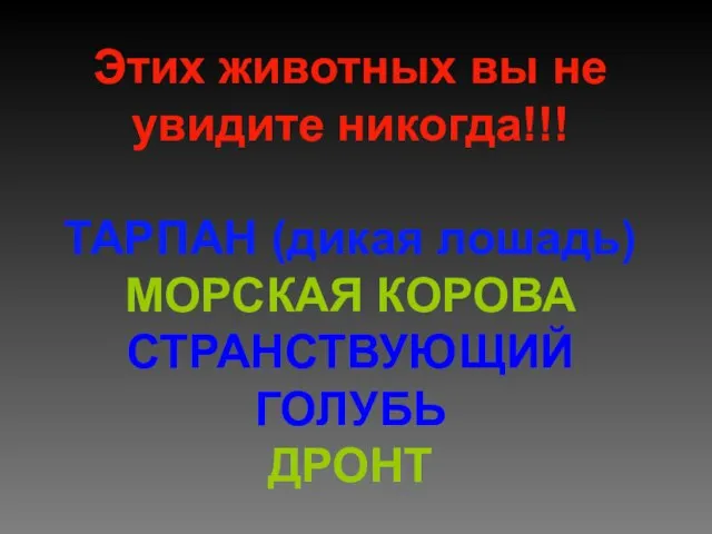 Этих животных вы не увидите никогда!!! ТАРПАН (дикая лошадь) МОРСКАЯ КОРОВА СТРАНСТВУЮЩИЙ ГОЛУБЬ ДРОНТ