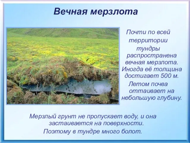 Мерзлый грунт не пропускает воду, и она застаивается на поверхности. Поэтому в