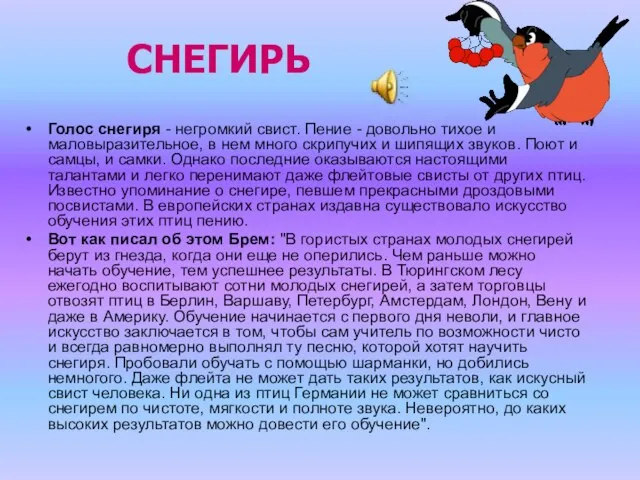 СНЕГИРЬ Голос снегиря - негромкий свист. Пение - довольно тихое и маловыразительное,