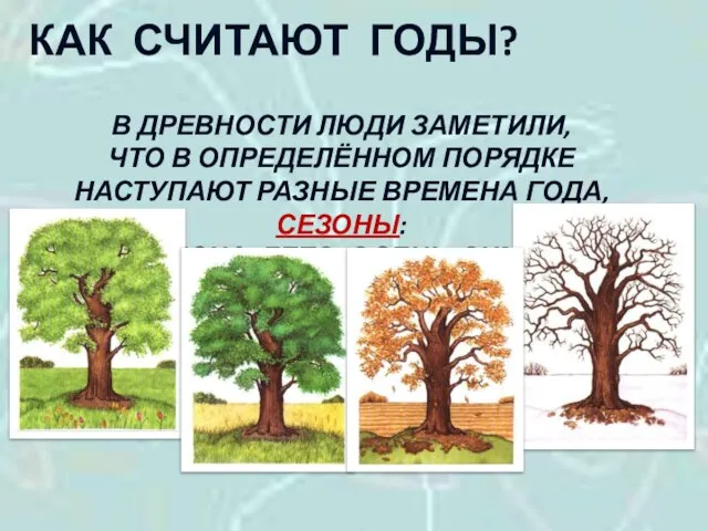 КАК СЧИТАЮТ ГОДЫ? В ДРЕВНОСТИ ЛЮДИ ЗАМЕТИЛИ, ЧТО В ОПРЕДЕЛЁННОМ ПОРЯДКЕ НАСТУПАЮТ