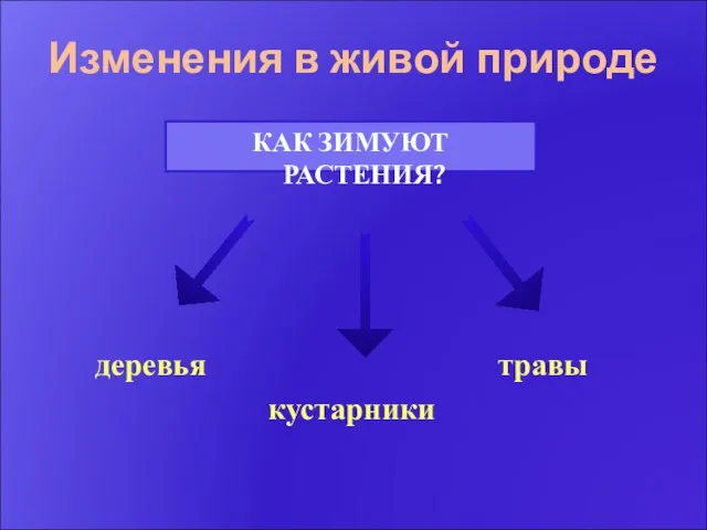 деревья травы кустарники Изменения в живой природе КАК ЗИМУЮТ РАСТЕНИЯ?