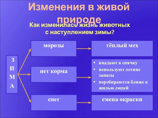 Как изменилась жизнь животных с наступлением зимы? морозы нет корма снег смена