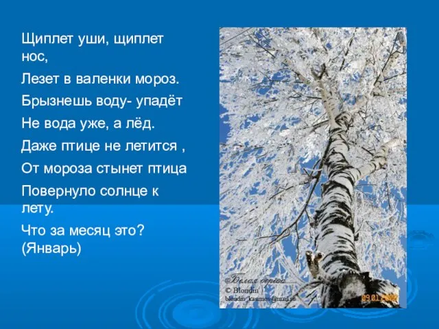 Щиплет уши, щиплет нос, Лезет в валенки мороз. Брызнешь воду- упадёт Не