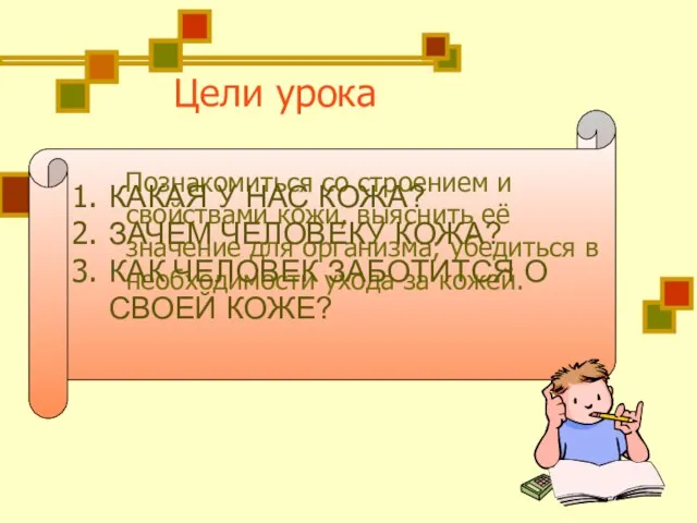 Цели урока Познакомиться со строением и свойствами кожи, выяснить её значение для