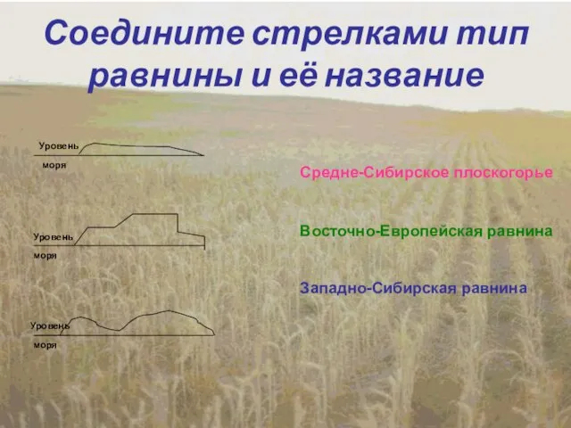 Соедините стрелками тип равнины и её название Восточно-Европейская равнина Западно-Сибирская равнина Средне-Сибирское