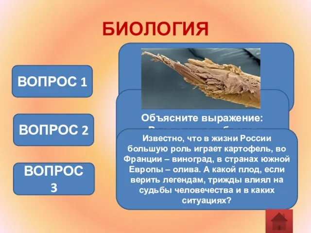 БИОЛОГИЯ ВОПРОС 1 ВОПРОС 2 Объясните выражение: «Растет, как гриб после дождя».