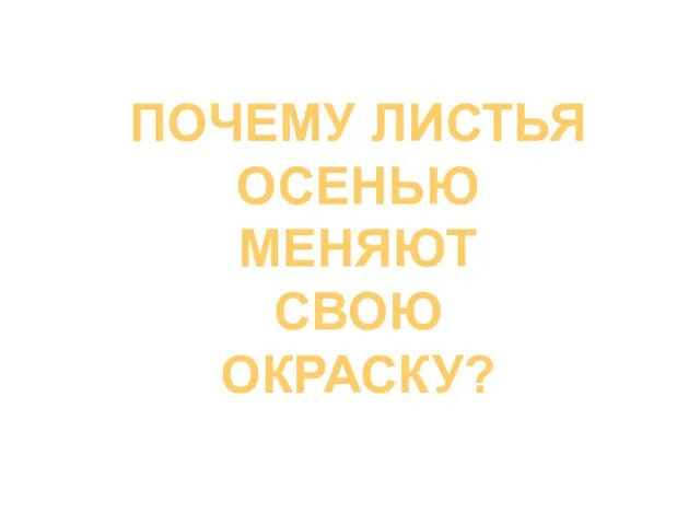 Почему листья Осенью Меняют Свою Окраску?