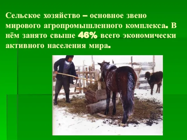 Сельское хозяйство – основное звено мирового агропромышленного комплекса. В нём занято свыше