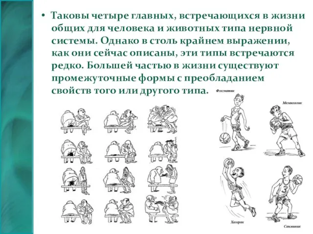 Таковы четыре главных, встречающихся в жизни общих для человека и животных типа